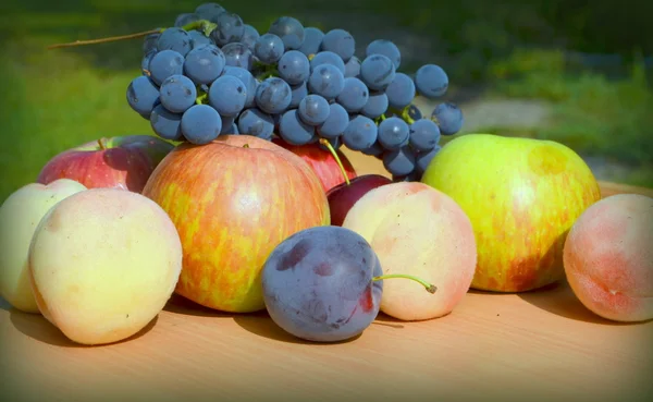 Frutta uva, pesca, mela e susina — Foto Stock