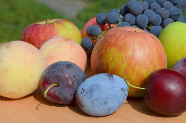 Фрукты - виноград, персик, яблоко и слива — стоковое фото