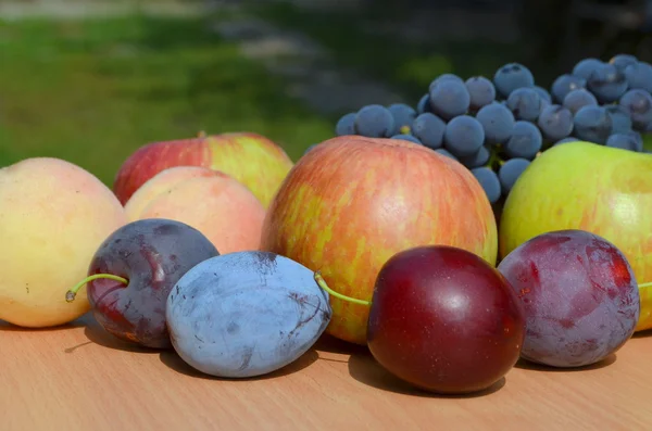 Фрукти - виноград, персик, яблуко і слива — стокове фото