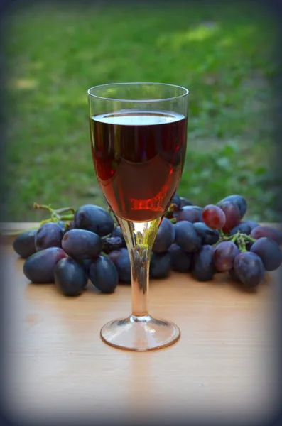 Glas Rotwein und Trauben — Stockfoto