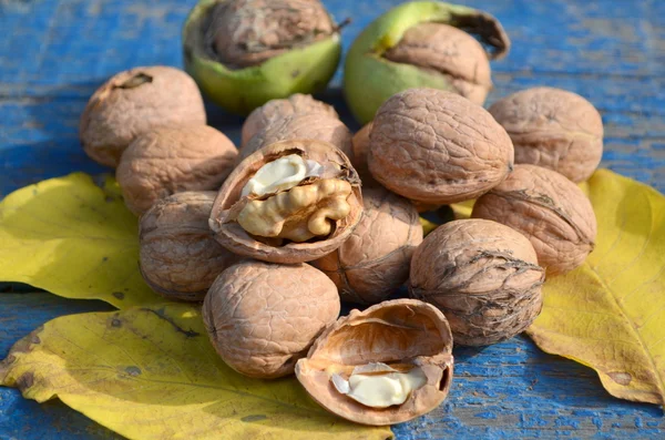 Walnut — Stock Photo, Image