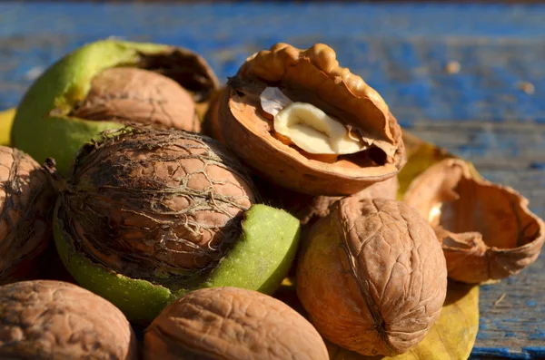 Walnut — Stock Photo, Image