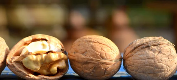 Walnut — Stock Photo, Image