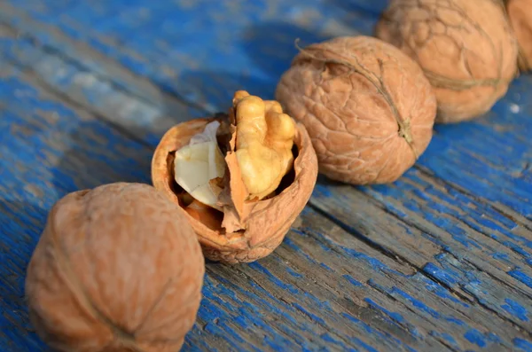 Walnut — Stock Photo, Image