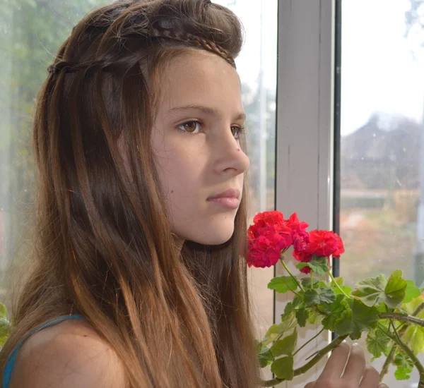 Mädchen am Fenster mit Geranien — Stockfoto