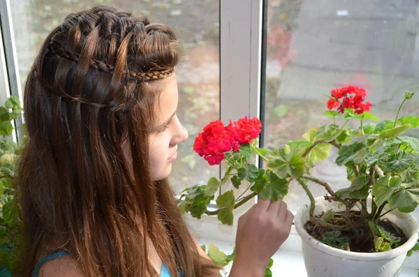 Chica cerca de la ventana con geranios — Foto de Stock