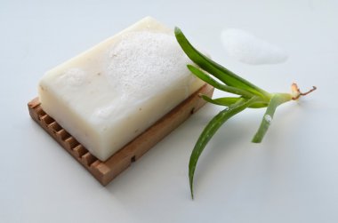 Aloe vera ile sabun