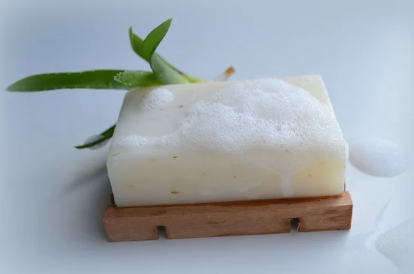 Soap with aloe vera — Stock Photo, Image