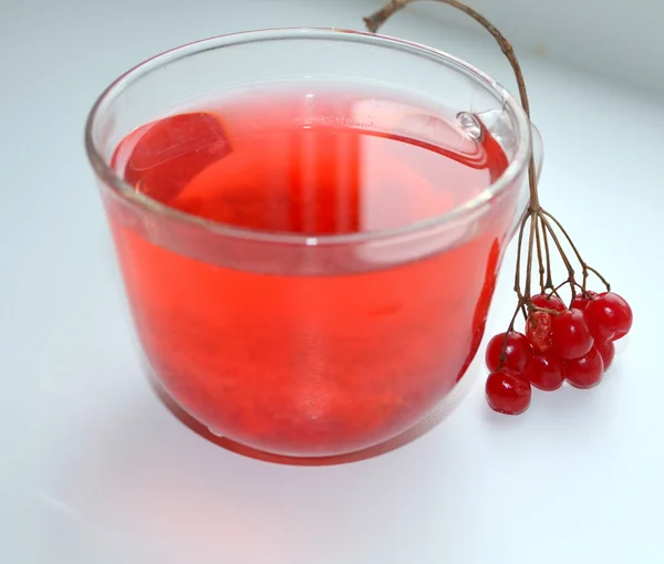 Tea with berries Viburnum — Stock Photo, Image