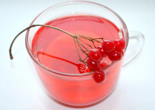 Té con bayas Viburnum — Foto de Stock