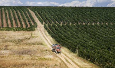 Güneşli bir gün Hill'de Romen ÜRETIM