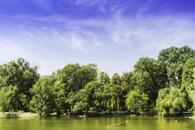 Panorama with one of the largest parks in Bucharest
