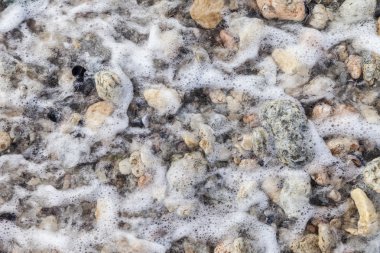 Kumsalda deniz kabukları ve taşlar