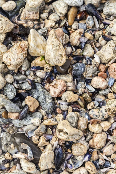 Nábojnice a kameny na pláži — Stock fotografie