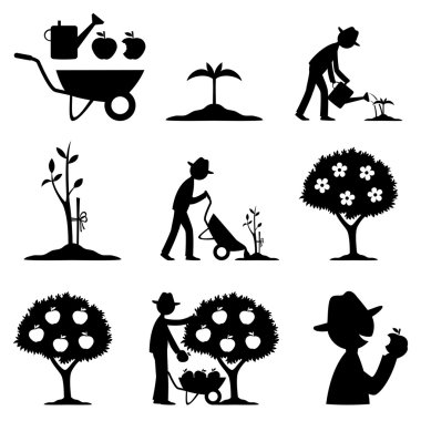 Çiftçi ve elma hasat