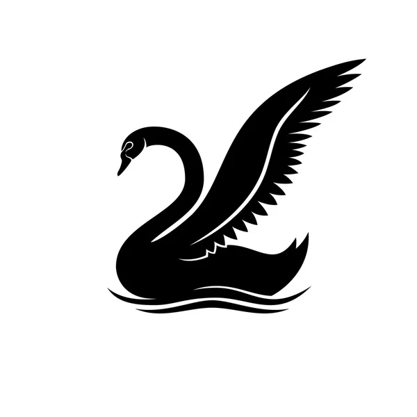 Cisne preto elegante . —  Vetores de Stock