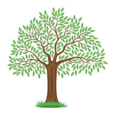 Yeşil yaprakları ile güzel ağaç.