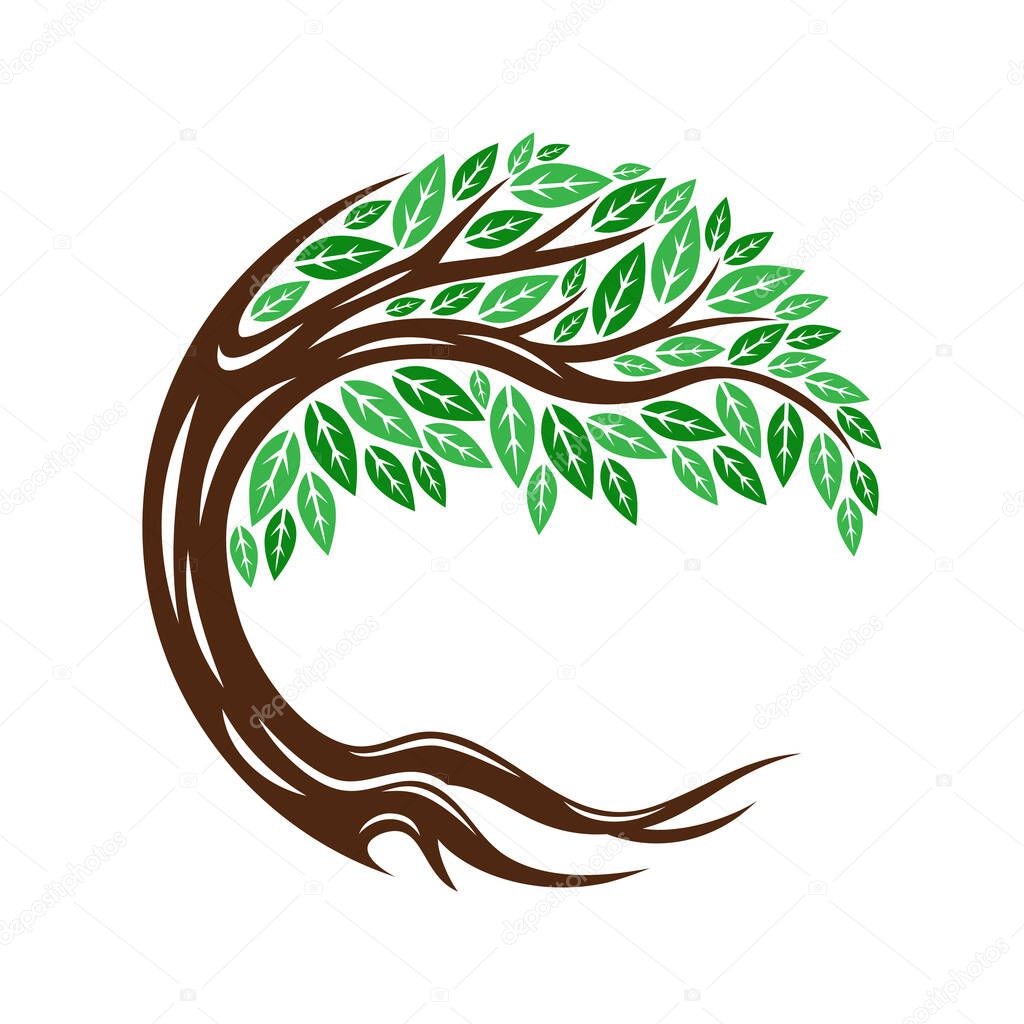 Round tree icon with leaves and roots on white background.