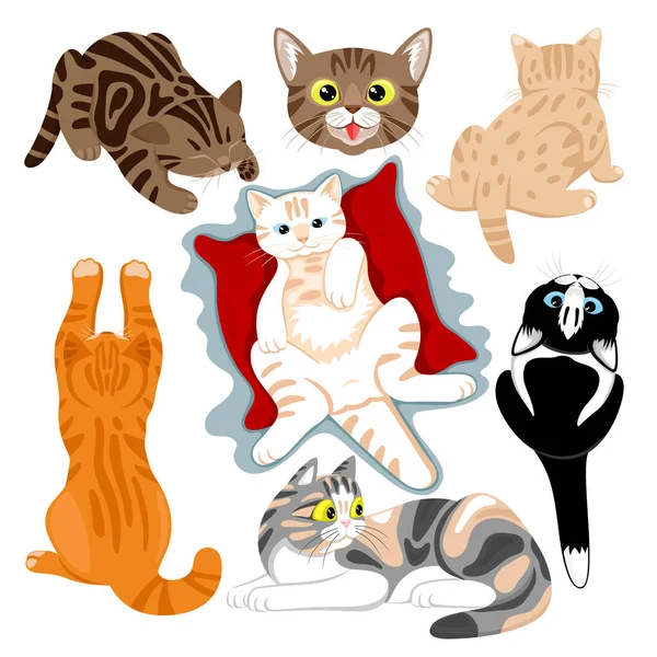 Иллюстрация Набором Милых Кошек Белом Фоне — стоковый вектор