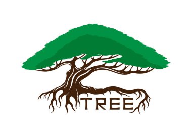 Kökleri beyaz arkaplanda olan bir ağaç tasviri.