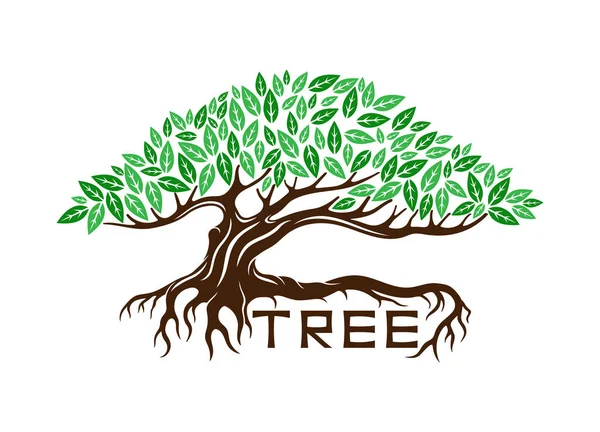 Kökleri Beyaz Arkaplanda Olan Bir Ağaç Tasviri — Stok Vektör