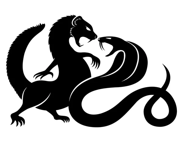 Firavun faresi ve Kobra.