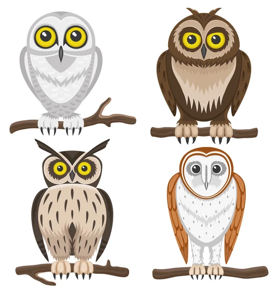 Owls on white background. — Stock Vector