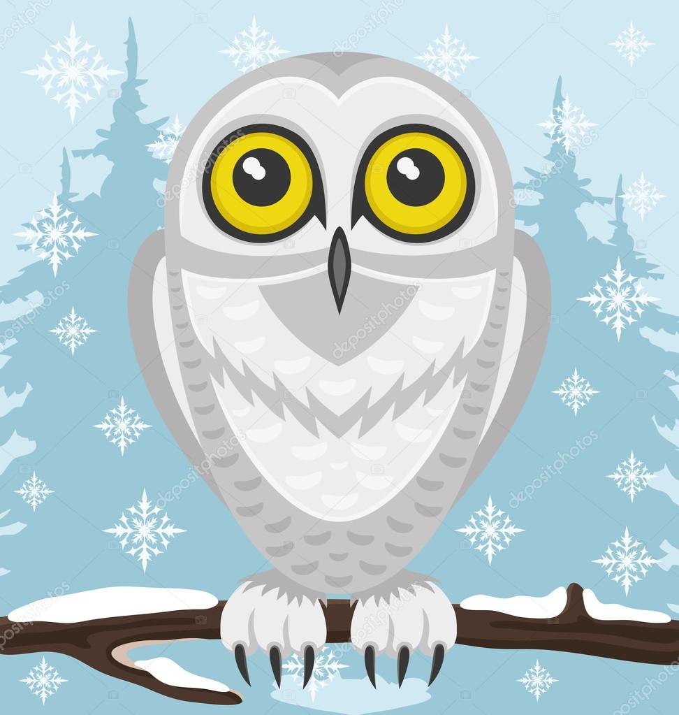 Snowy owl.