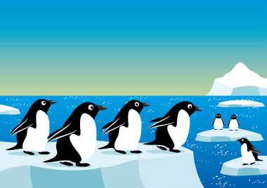 Buz kütlesindeki penguenler