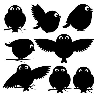 beyaz zemin üzerinde kuşlar.