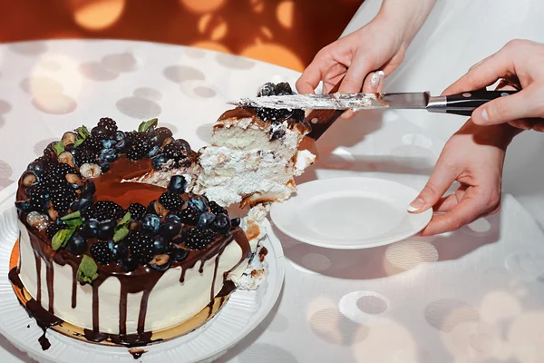 新婚夫婦がケーキをカットします。 — ストック写真