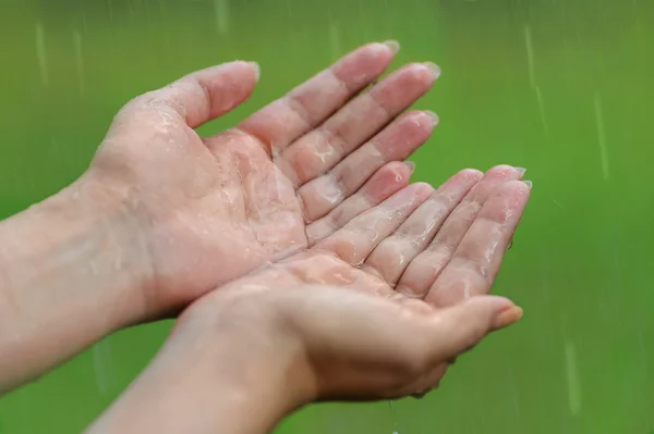 Hands under a rain — Stock Photo, Image