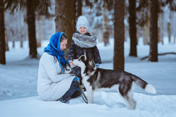 Familienspaziergang mit dem Hund — Stockfoto