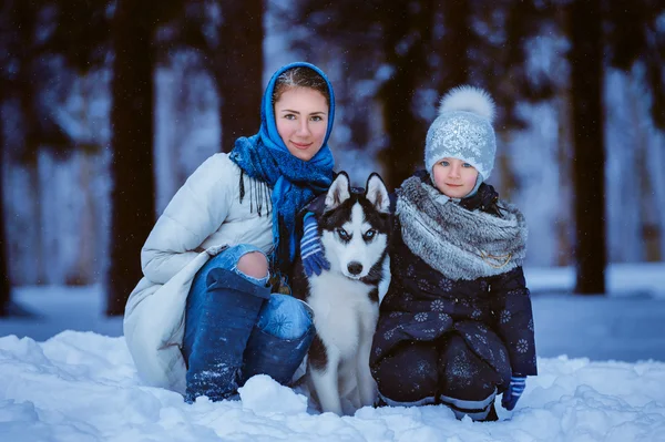 Winter walk with husky — Stock Photo, Image