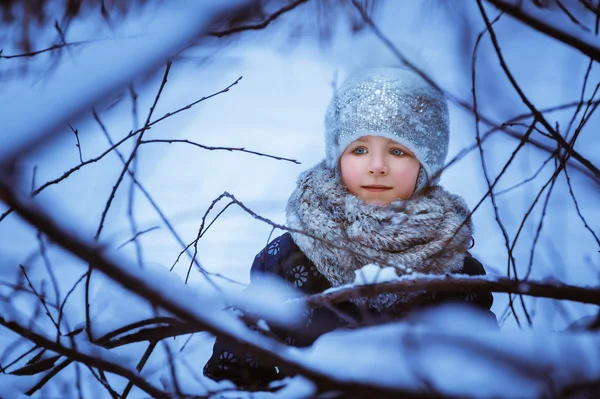 Дівчина в зимовому лісі — стокове фото