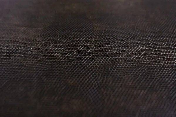 Ігуана шкіри фоном — стокове фото