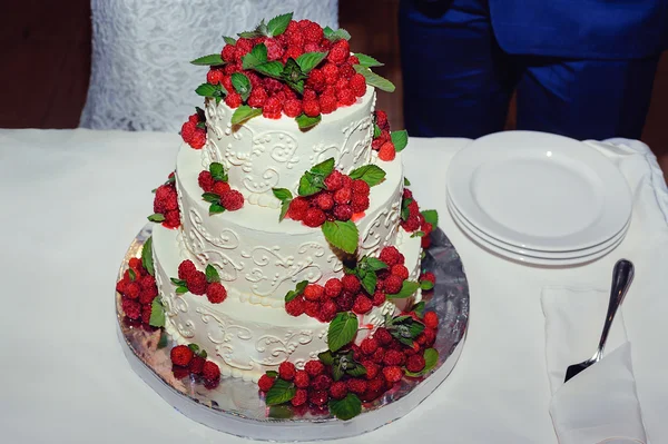 Lahodný svatební dort — Stock fotografie