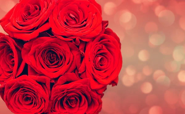 Bouquet of roses — Stock Photo, Image