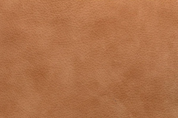 genuine furniture leather of the highest quality