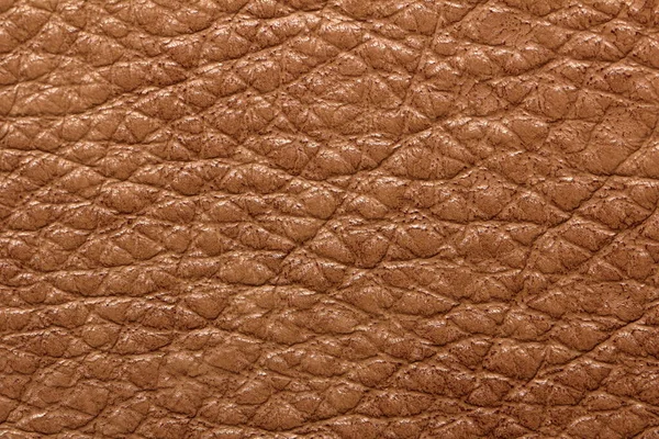 genuine furniture leather of the highest quality
