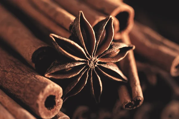 肉桂棒和星形茴香 — 图库照片