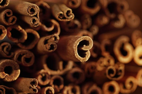 Palitos de canela e anis estrelado — Fotografia de Stock