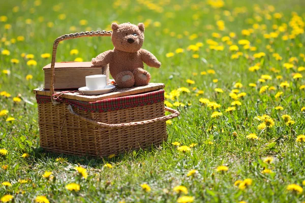 Piknik sepeti ve kitap çimenlerin üzerinde — Stok fotoğraf