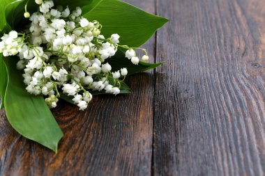 Lily vadi ahşap bir masa üzerinde