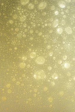 - Bira. Köpüklü ve köpüklü Light Bira