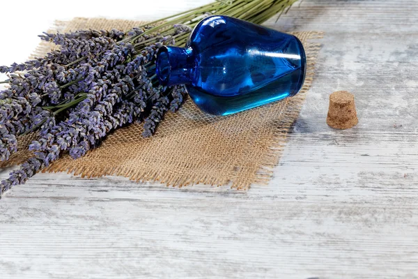 Lavendelöl in einer Glasflasche vor einem Hintergrund frischer Blumen — Stockfoto