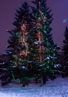 Gece şehrindeki büyük köknar ağaçlarına yılbaşı ışığı. Tatil, Noel, kış