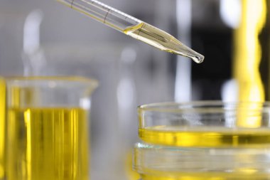 Sarı yağ bir şeker kutusundan laboratuardaki test tüpüne damlıyor.