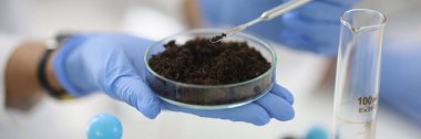 Kimya laboratuarında plastik eldivenin içinde toprak numunesi bulunan cam bardak duruyor.