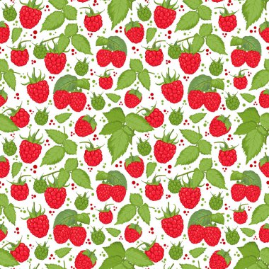 Taze ahududu, dallar ve yapraklarla, beyaz arkaplanda küçük noktalar olan doğal bir düzen. Dijital sanat. Taze böğürtlen, yaz kadını kusursuz desen. Tekstil doğası süsü. 